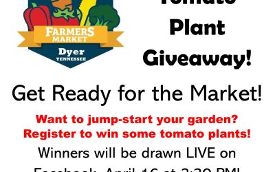 Tomato  Plant Giveaway!